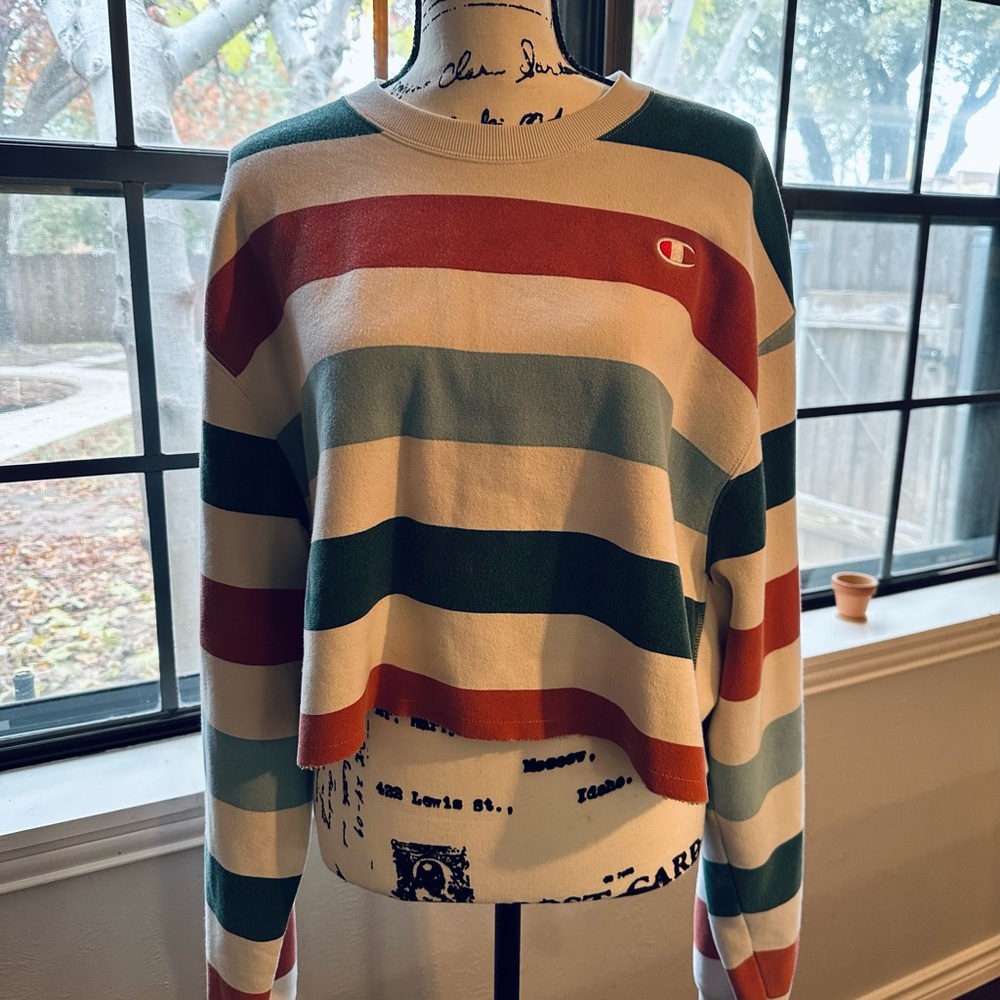 Rare Champion Striped Throwback Cropped Sweatshirt